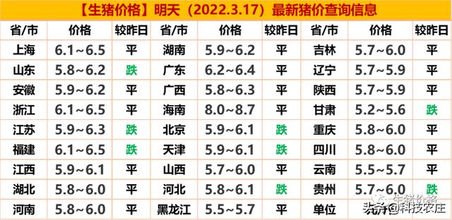 今日全国猪价行情预测分析