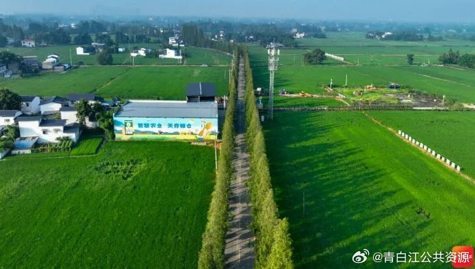 青白江弥牟镇最新资讯与科技前沿的高科技产品亮相