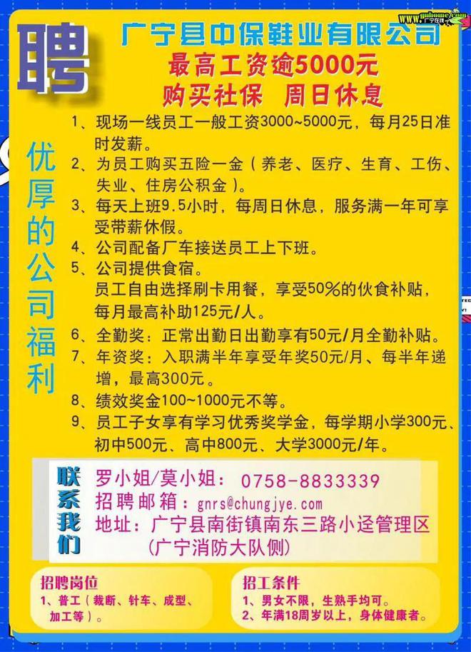 博罗罗阳最新招聘信息，探索自然美景之旅，寻找内心平静之旅的职位机会