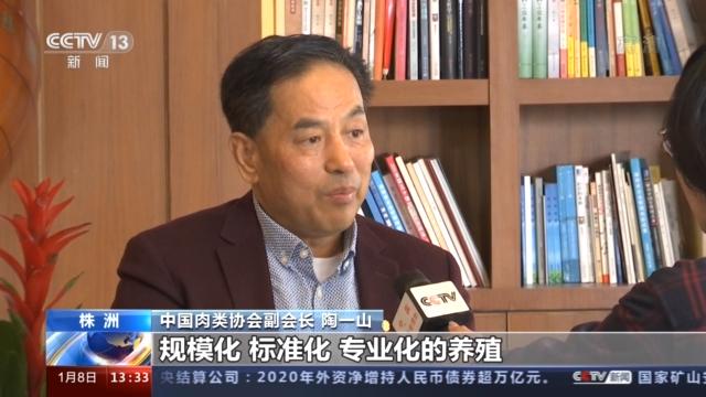 大连期货实时行情，与自然美景的邂逅，探寻内心平和的旅程