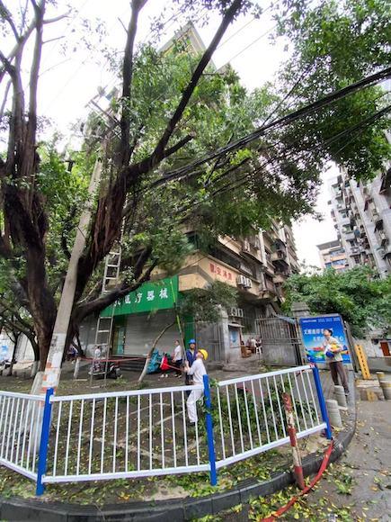 涪陵电力最新动态，铸就辉煌，照亮未来