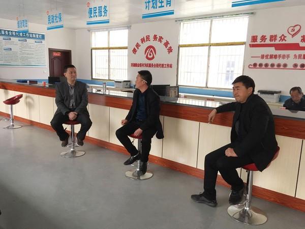村两委班子运行状况深度解析