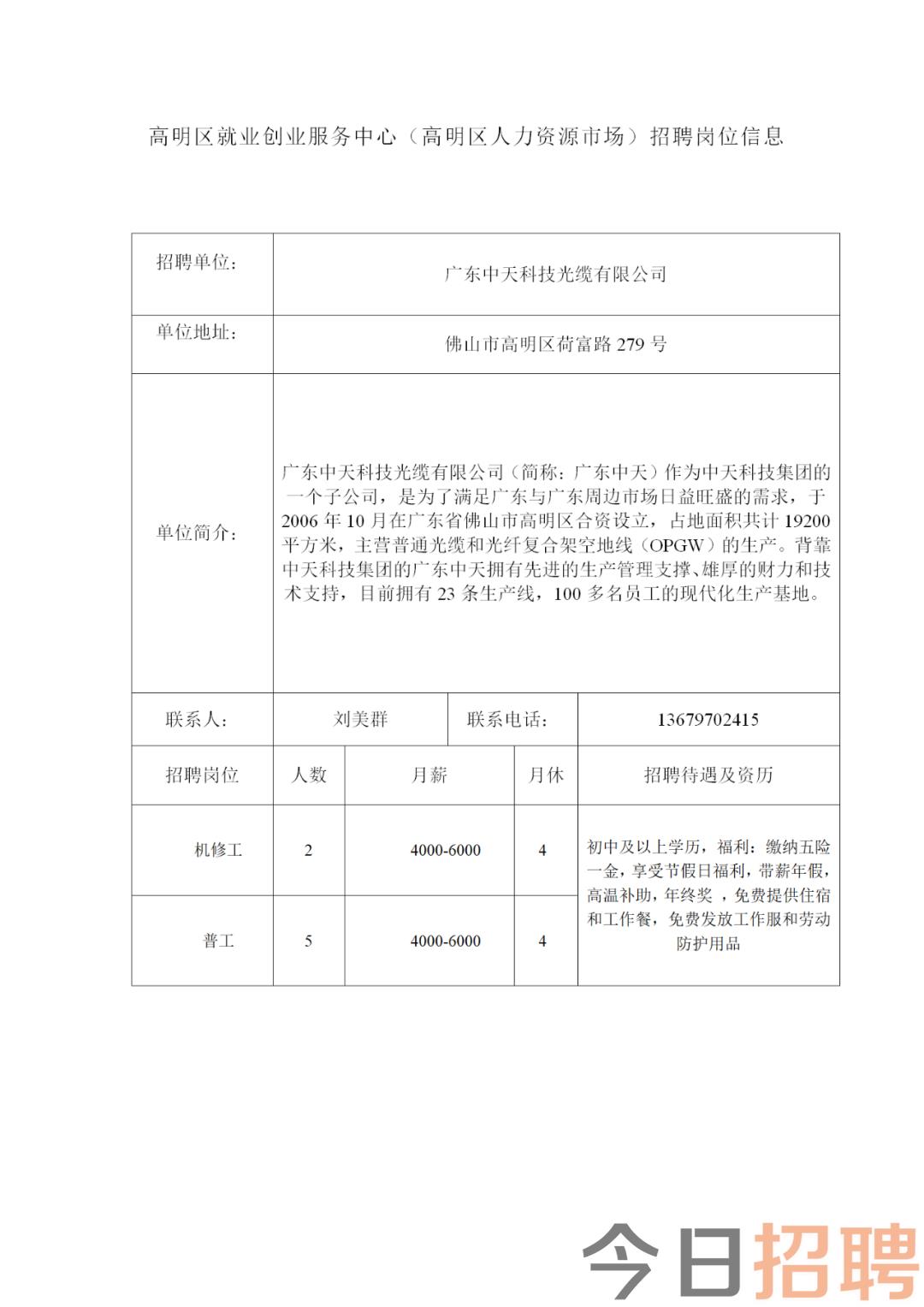 高州阳光下的求职奇遇，最新招聘信息与家的温馨氛围
