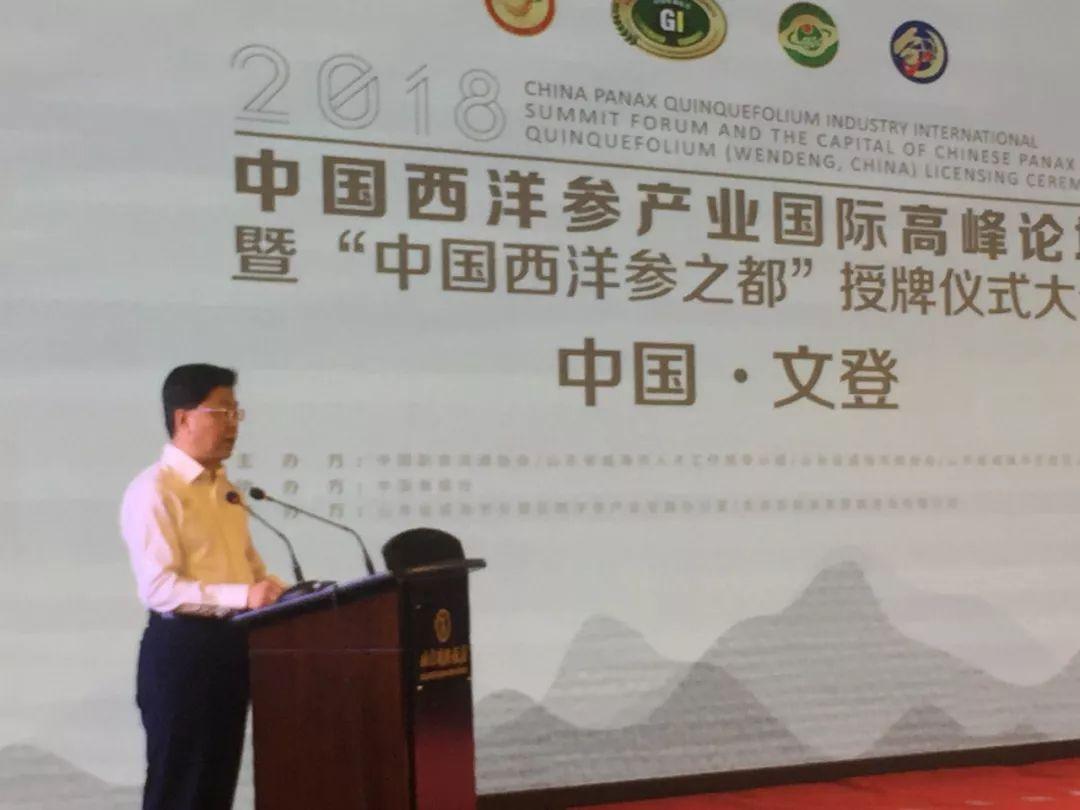 文登西洋参最新价格，时代变迁与市场的脉动影响