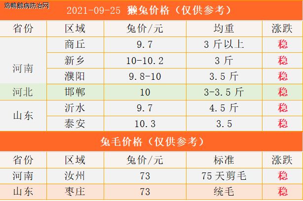 河北獭兔最新价格行情及分析概述